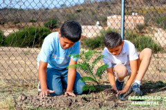 actividadescuidadomedioambiente_06