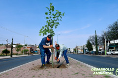 actividadescuidadomedioambiente_09