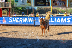 arranquetorneocharro_fenapi2026_01