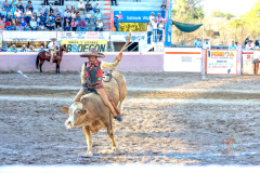 arranquetorneocharro_fenapi2026_09