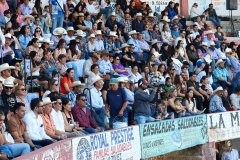 arranquetorneocharro_fenapi2026_11