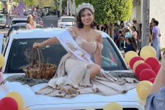desfile_fenapi2026_24