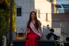 desfile_fenapi2026_43