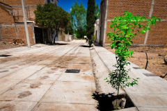 callemanuelmdieguez_04