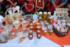 clausuratalleresmisioncultural_08