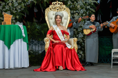 reinafiestaspatrias_09