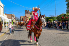 desfileaniversariorevolucion_05