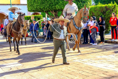 desfileindependencia2026_15