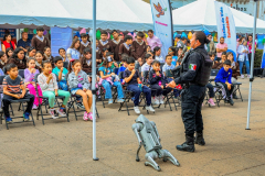 dialogosporlapaz_05