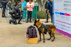 dialogosporlapaz_35