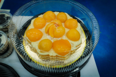 clausuramisionesculturales_35
