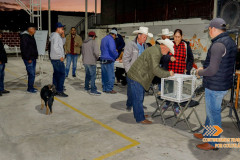 Eleccion-delegado-del-carrizal_16