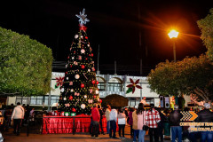 Encendido-del-arbol-en-nuestra-plaza-principal_34 Encendido-del-arbol-en-nuestra-plaza-principal_34