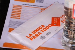 launicaparatodo_03