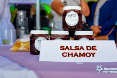 expomisionculturalrural_01