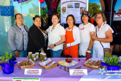 expomisionculturalrural_03