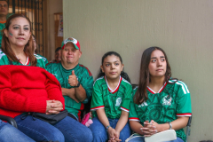 fanfestmexing_05