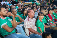 fanfestmexing_13