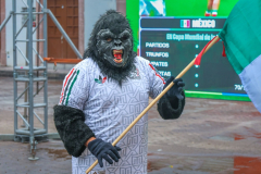 fanfestmexing_17
