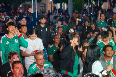 fanfestmexing_20