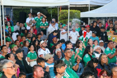 fanfestmexing_21