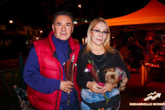 Festival_dia_del_amor_06