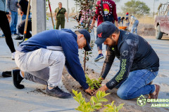 forestacion-nuevotlaxcala_10