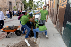 jornadamedioambiente_11