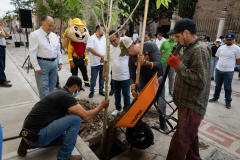 jornadamedioambiente_12