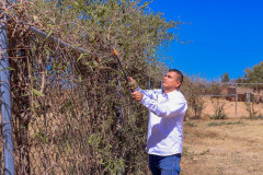 juevesciudadanoepazote_03