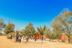 juevesciudadanoepazote_09