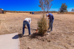 juevesciudadanoepazote_14