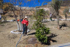 juevesciudadanolacantera_20