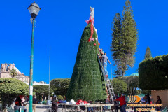 La_Navidad_ya_esta-en_camino_004
