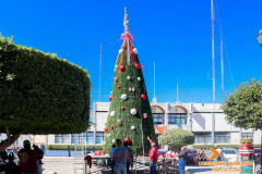 La_Navidad_ya_esta-en_camino_008