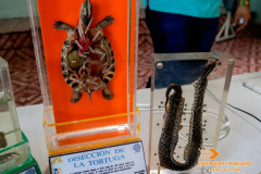 Semana-de-Divulgacion-de-Ciencia-y-Tecnologia-Colegio-Jalisco_09