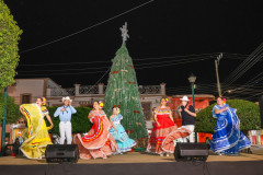 encendidodelarbol_01