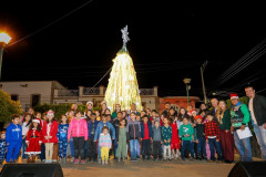 encendidodelarbol_11