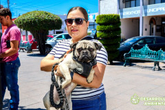 Vacunacionantirrabica_01