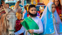 pidenposadamarcelagonzales