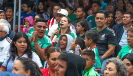 fanfestmexing